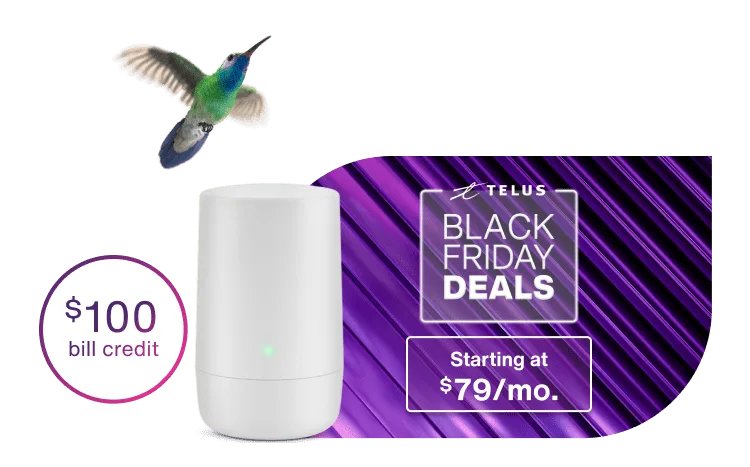 A hummingbird flying toward a Wi-Fi hub. In the background is a purple Black Friday deals sticker with the text: $100 bill credit