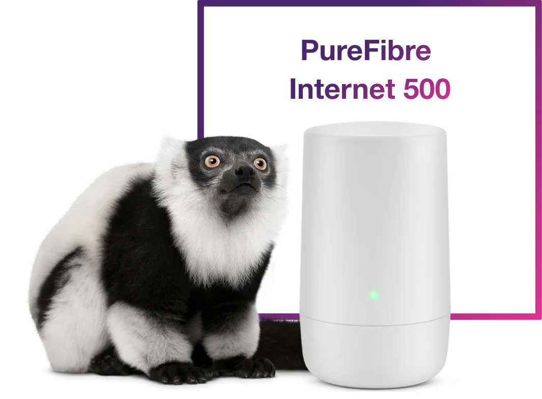 An image showing a lemur beside TELUS Internet device and a text that reads: PureFibre Internet 500