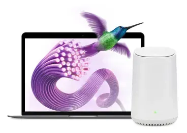 An image showing Optik Fibre in laptop with a hummingbird on the background and a TELUS Internet device.