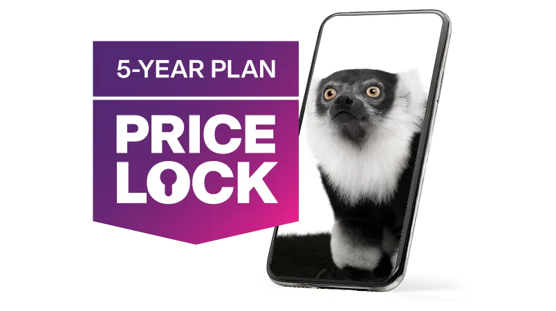'5-Year Plan Price Lock'. A smartphone displaying an image of a black and white Lemur looking out into the distance.