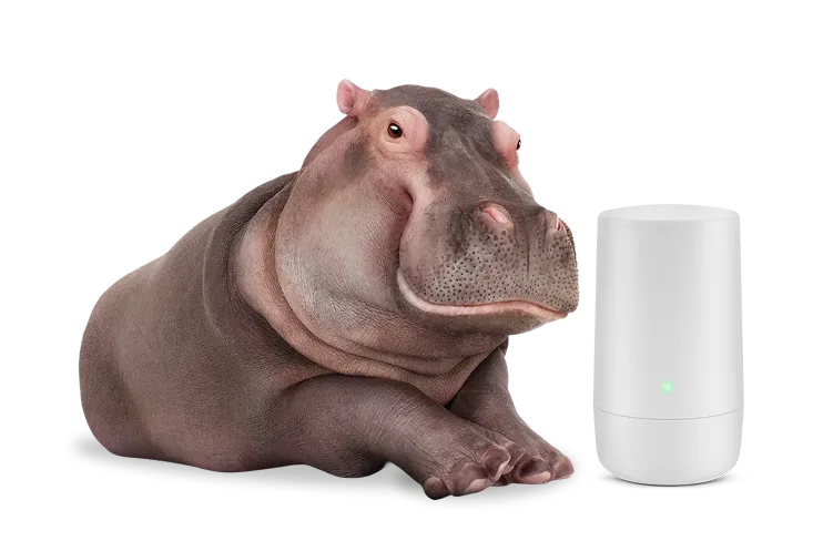 A hippo sitting next to a TELUS modem.