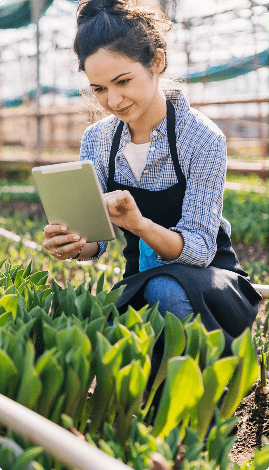 A woman viewing a tablet while working in a garden.