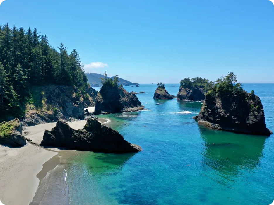 An aerial view of a beach with trees in the background