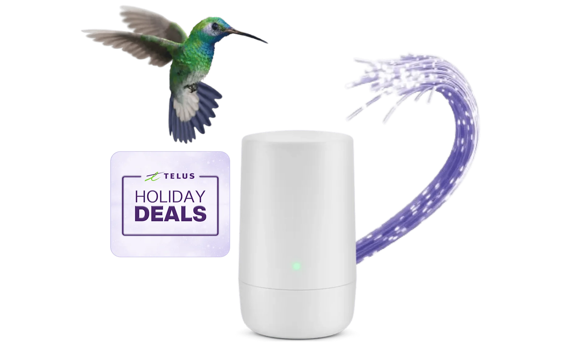 A hummingbird flying toward a TELUS modem. A sticker to the left reads: Holiday deals.