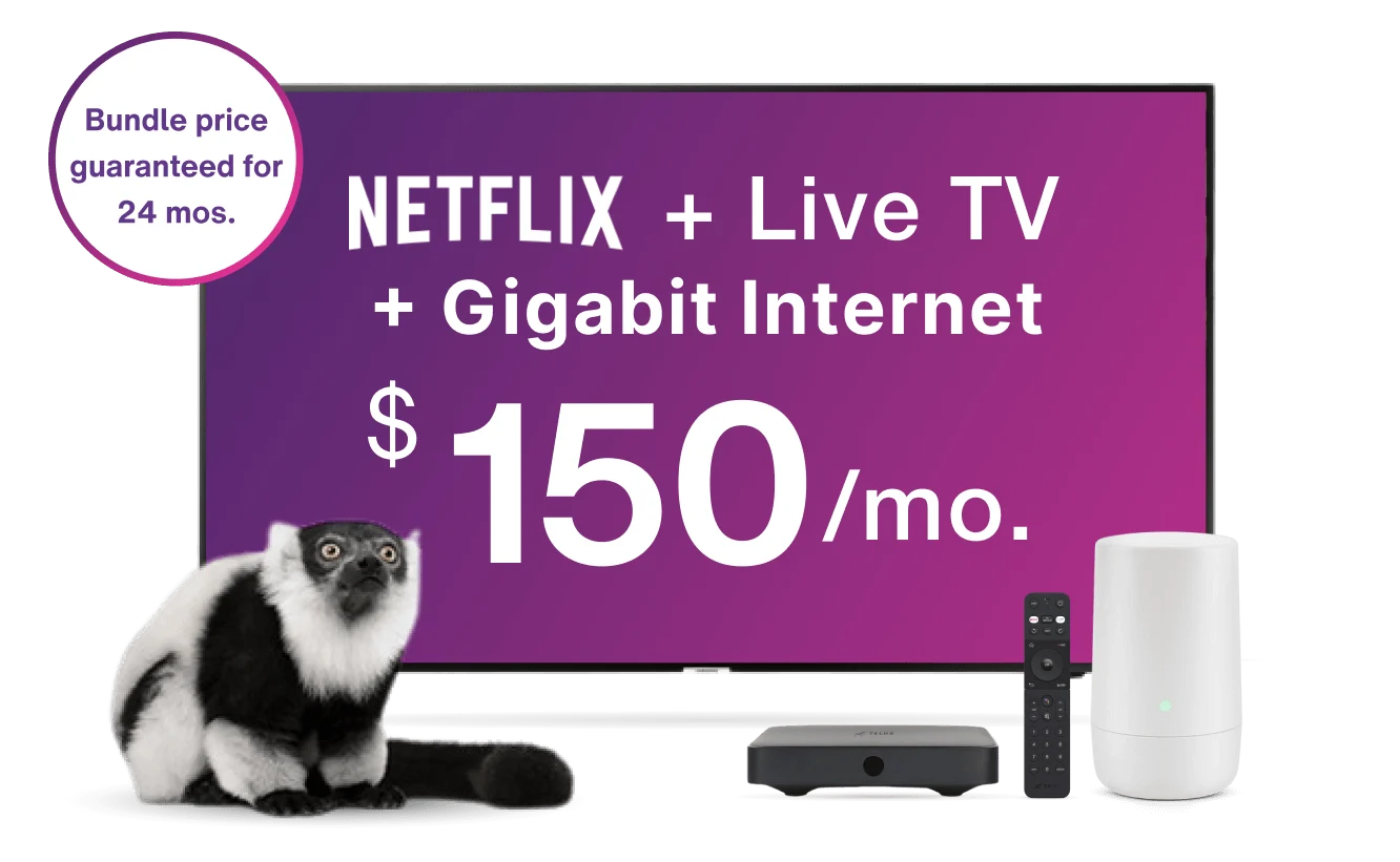 An image showing a TV with a lemur, TV box, Internet device and control on the foreground. The TV has a text that reads "Netflix plus Live TV plus Gigabit Internet for $150 per month".