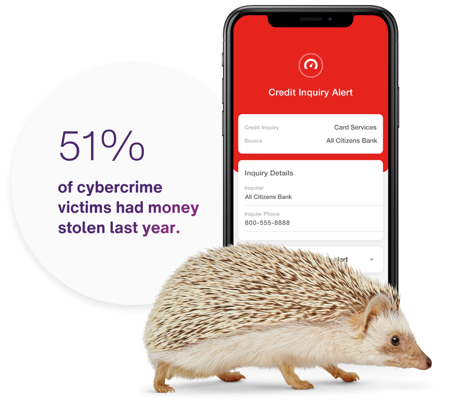 Explore Bank, Credit & Dark  Monitoring TELUS