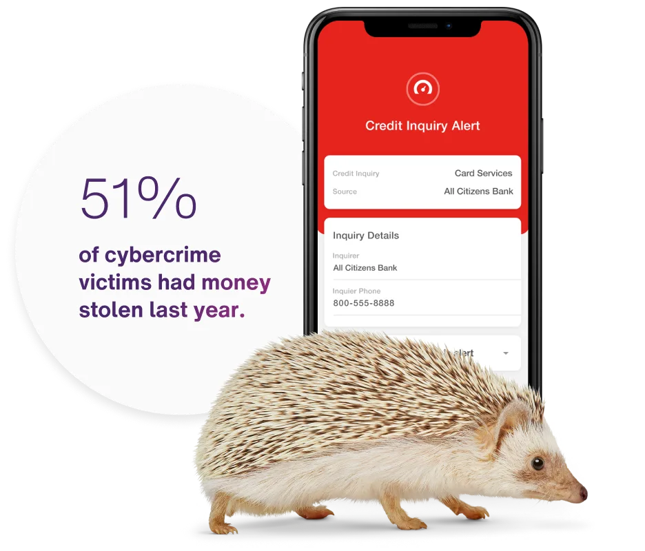 A smartphone behind a hedgehog showing an Online Security Credit Inquiry Alert as well as the headline “51% of cybercrime victims had money stolen last year.