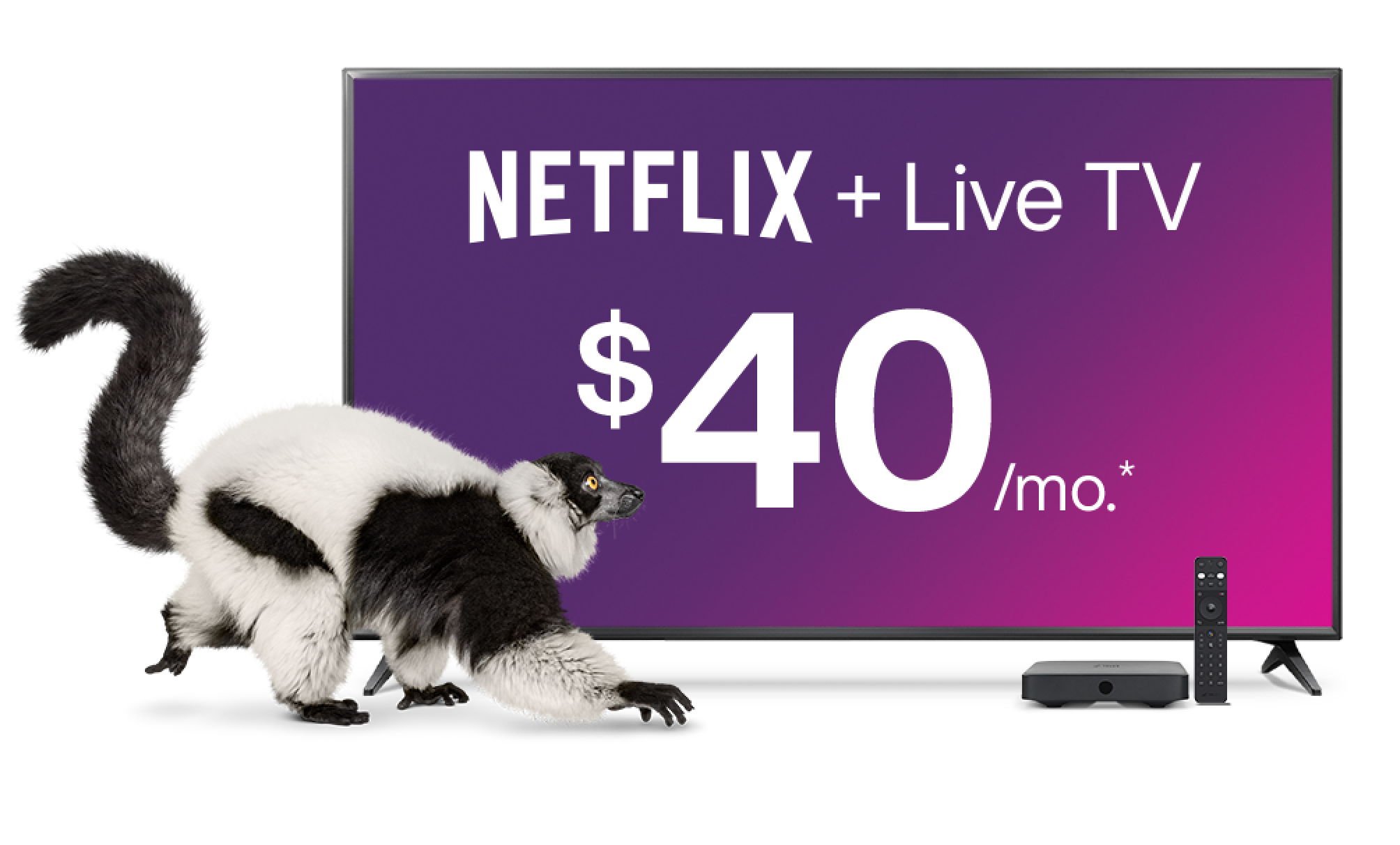 Enjoy Live TV With Netflix Included | TELUS