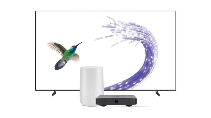 Un téléviseur, un boîtier numérique et un modem TELUS. L’écran de télévision affiche un colibri qui vole en direction d'un câble à fibre optique bleu.