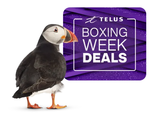 A Puffin stands in front of a logo that reads, "Boxing Week Deals".