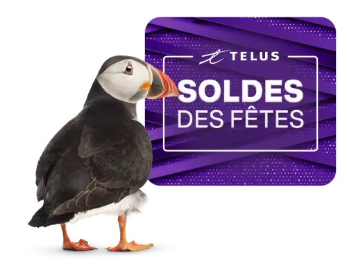 Un Macareux se tient devant un logo qui dit : « Soldes des Fêtes ».