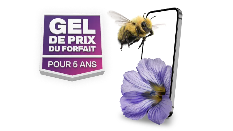 « GEL DE PRIX DU FORFAIT POUR 5 ANS ». Un bourdon vole vers un téléphone intelligent avec une fleur à côté.