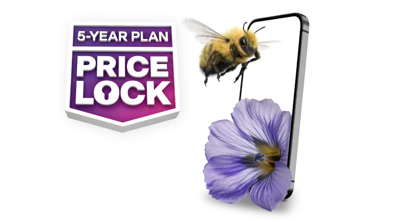 '5-YEAR PLAN PRICE LOCK' A bumblebee flies towards a smartphone with a flower sitting next to it.