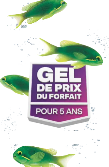 Des poissons verts nagent autour d’un badge qui indique « GEL DE PRIX DU FORFAIT POUR 5 ANS ».