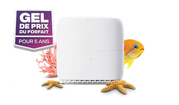 Un routeur Wi-Fi blanc à côté d'un poisson orange avec un badge indiquant « Gel de prix du forfait pour 5 ans ».
