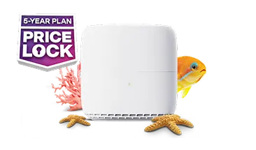 White Wi-Fi router surrounded by coral, starfish, and an orange fish, with a "5-Year Plan Price Lock" badge.