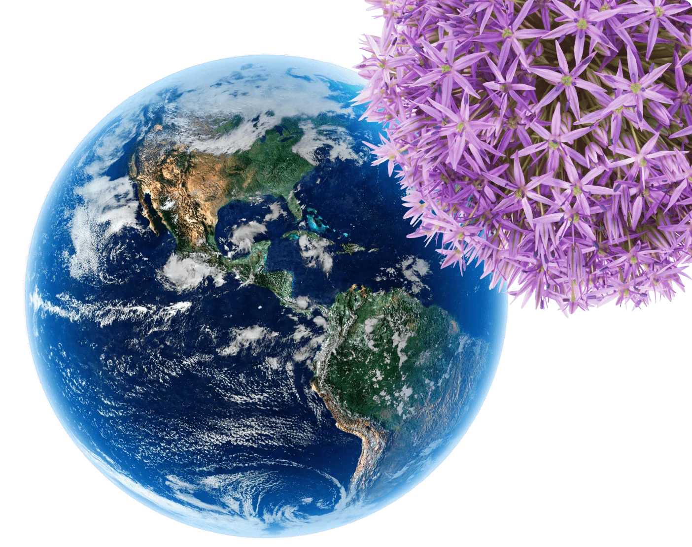 TELUS decorative flora alongside an image of the Earth as a globe