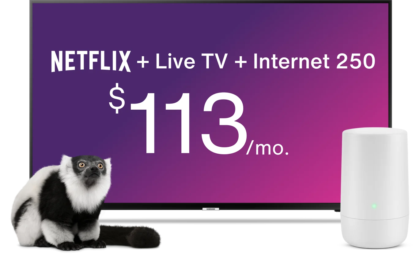 A TV displays the Optik TV offer of live TV and Netflix together with a TELUS TV Digital Box and a tablet showing the TATA IPL Live on Willow TV while a lemur looks on.