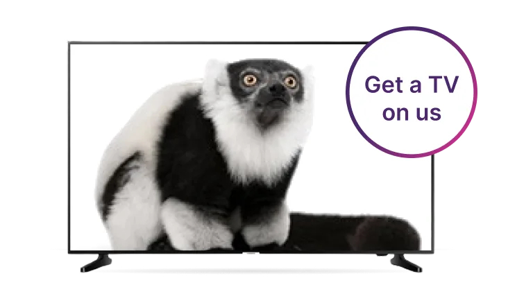 A TV with a lemur popping out of the screen. A roundel on the right reads: Get a TV on us.