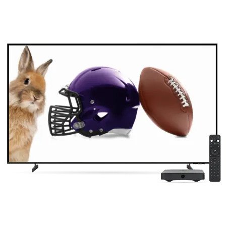 A TV displaying a TELUS bunny, a purple helmet and a football.