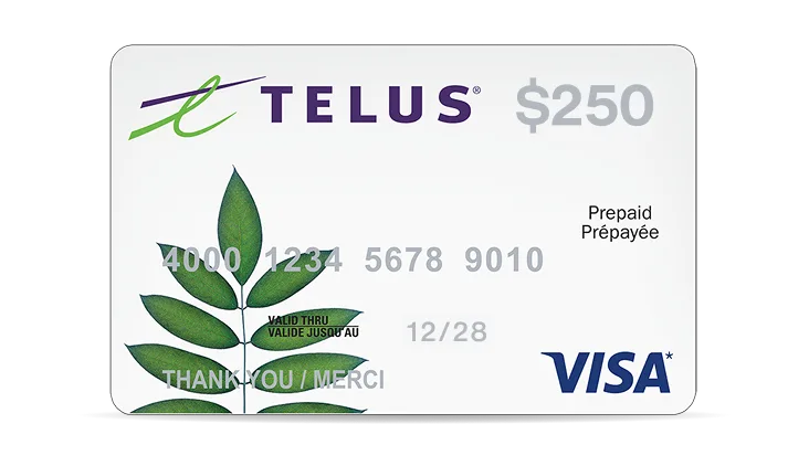 A $250 Visa Prepaid card.