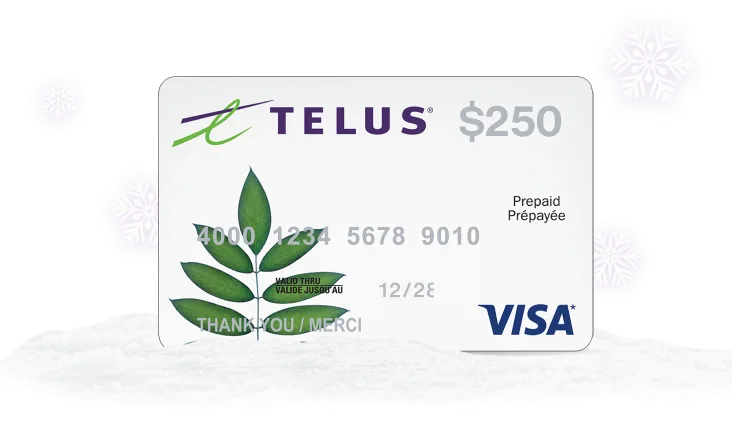 A $250 Visa Prepaid card on top of a bed of snow with snowflakes in the background