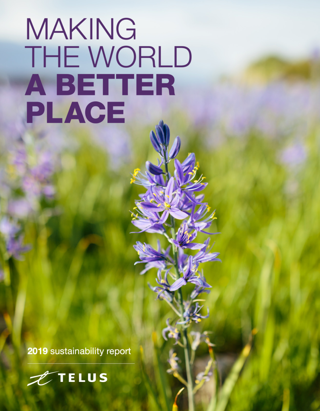 The cover of the 2019 TELUS Sustainability Report 
