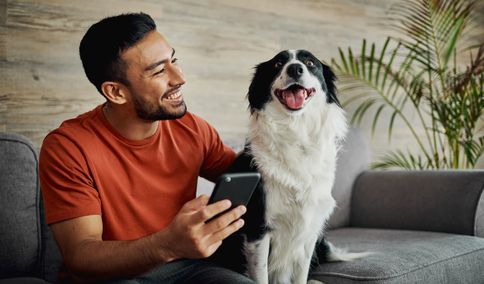 Woman and her dog looking at a tablet