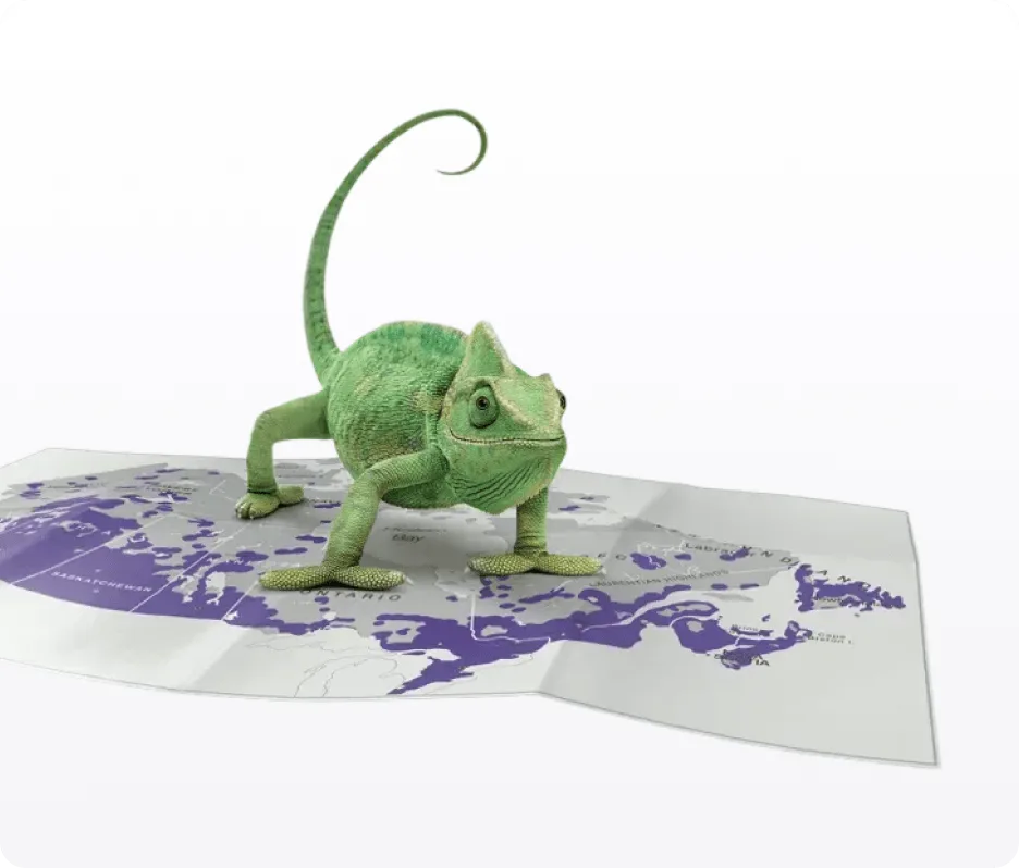 A Chameleon standing on a network coverage map of Canada.