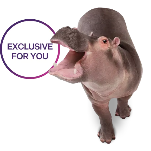 A hippopotamus with its mouth open. Roundel on the left reads “Exclusive for you”.