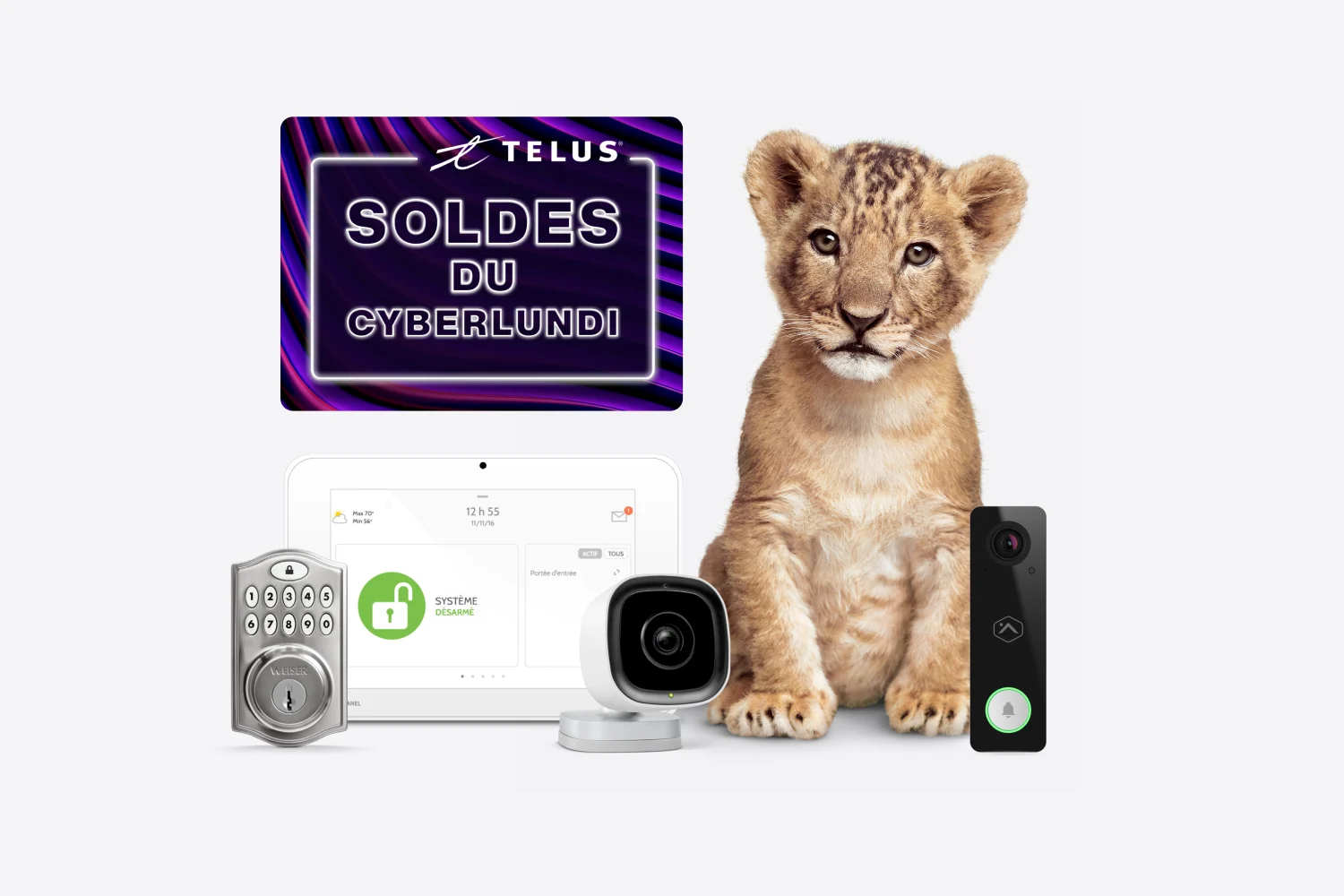A tiger cub with SmartHome Security doorbell, lock and control panel and a roundel saying “Free pro install”.