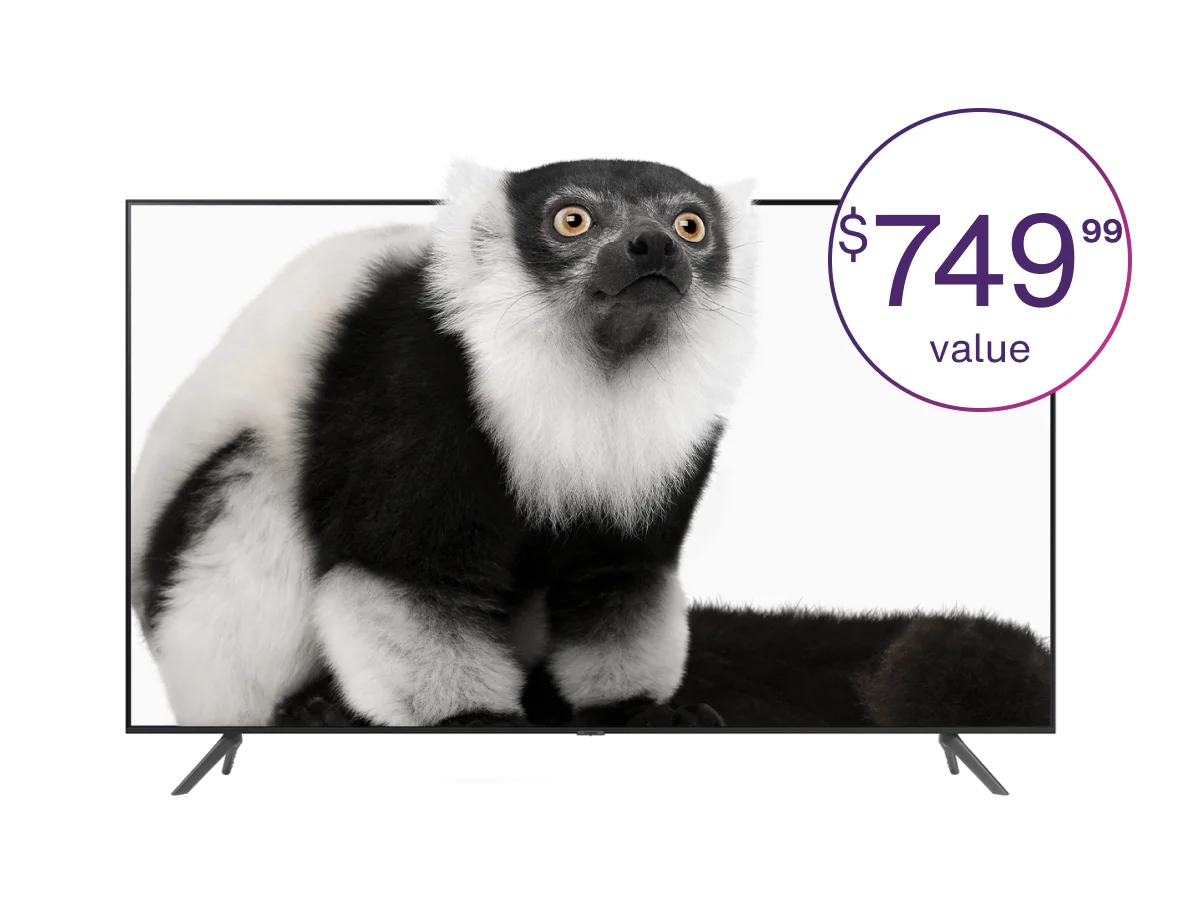 A picture of a Lemur inside a TV screen next to a text that reads '$749 value'.