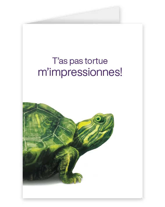 Une carte représentant une tortue portant l’inscription : T’as pas tortue m’impressionnes!
