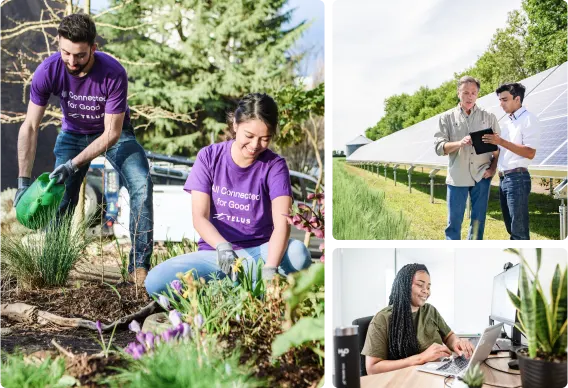 A collage of images showing: telus volunteers, an agriculture setting, a woman using a laptop.