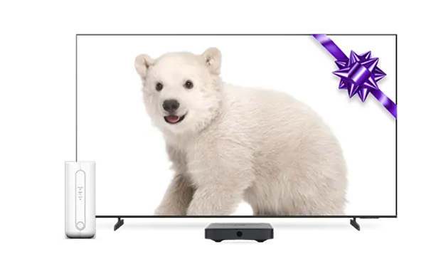 A TV and TELUS modem. The TV screen displays a polar bear and purple bow.