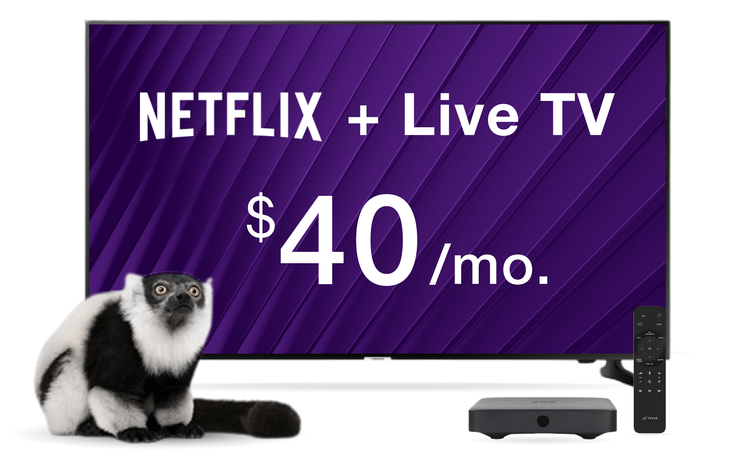 Enjoy Live TV With Netflix Included | TELUS