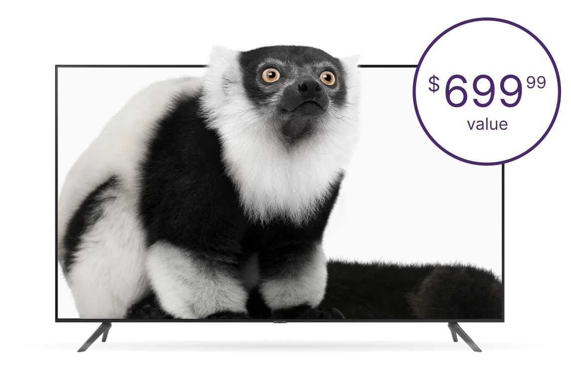 An image showing a large TV with a Lemur on the screen and a roundel saying "$699.99 value".