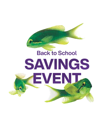 Three green fish are positioned around the text 'Back to School SAVINGS EVENT' one in the upper portion, one on the left side, and one in the lower right area of the image.