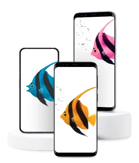 Three smartphones displaying colorful angel fish wallpapers in yellow, purple and orange, arranged in an overlapping product showcase.
