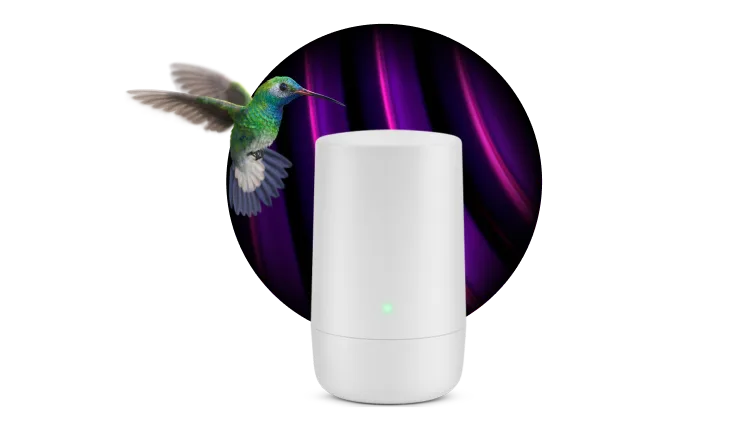 A hummingbird hovers next to a TELUS modem.