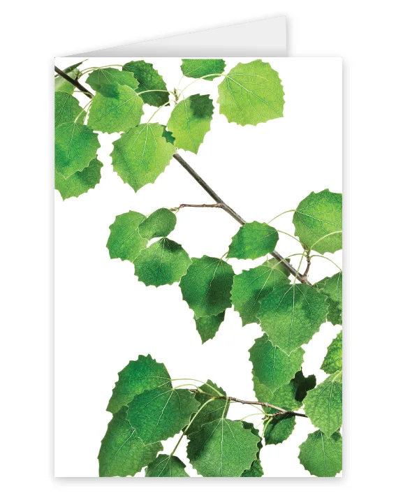 A card featuring green foliage branches