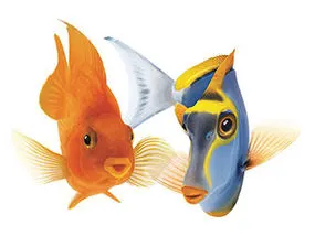 An image showing two fishes swimming side by side.