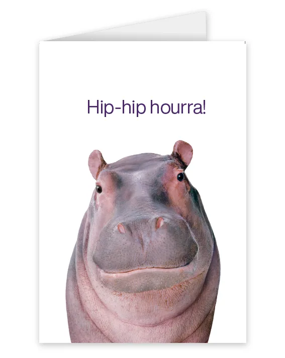 Une carte représentant un hippopotame portant l’inscription : Hip-hip hourra!