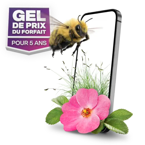 «GEL DE PRIX DU FORFAIT POUR 5 ANS » Un bourdon vole vers un téléphone intelligent avec une fleur de rose sauvage du désert à côté.