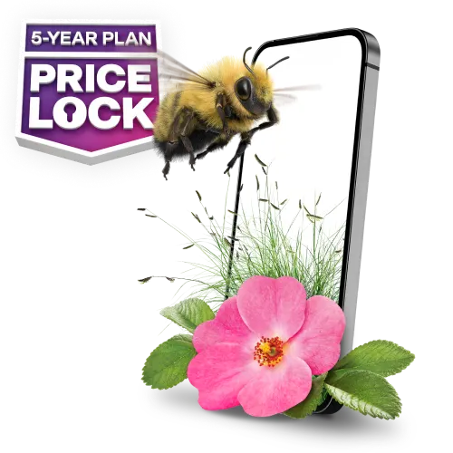'5-YEAR PLAN PRICE LOCK' A bumblebee flies towards a smartphone with a wild desert rose flower sitting next to it.