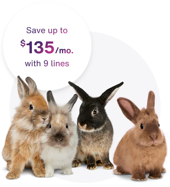 Four rabbits sit in a row. Above them is a circle with text inside reading “Save up to $135 per month with 9 lines”.