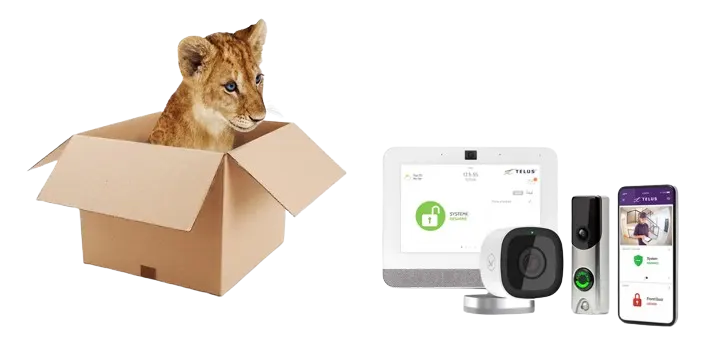 An image showing a tiger cub in a box looking at various SmartHome security devices on the left.