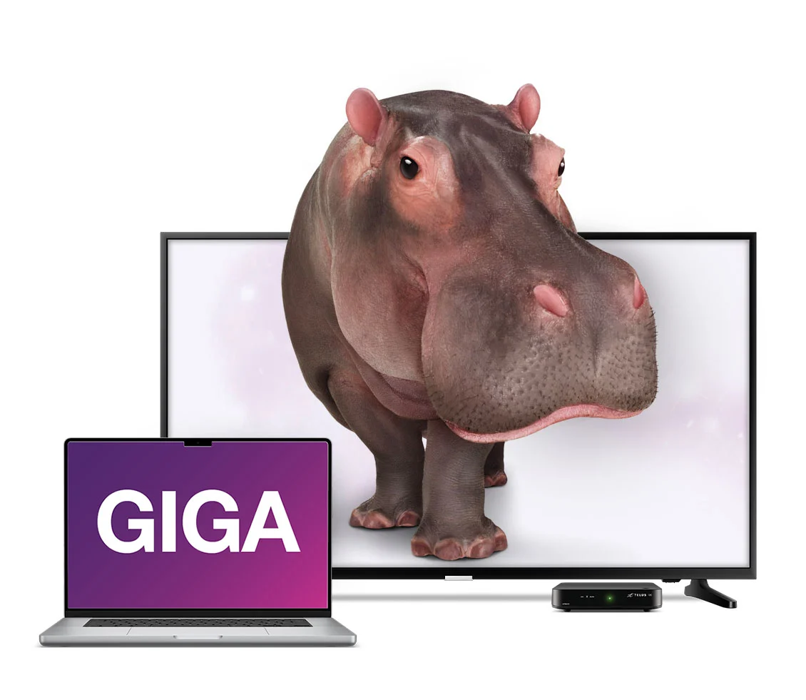 An image showing a large TV with a Hippo as a background and a laptop with GIGA text on the foreground.
