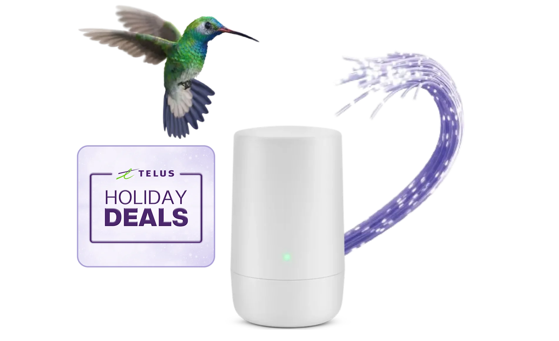 A hummingbird flying toward a TELUS modem. A sticker to the left reads: “Holiday deals”.