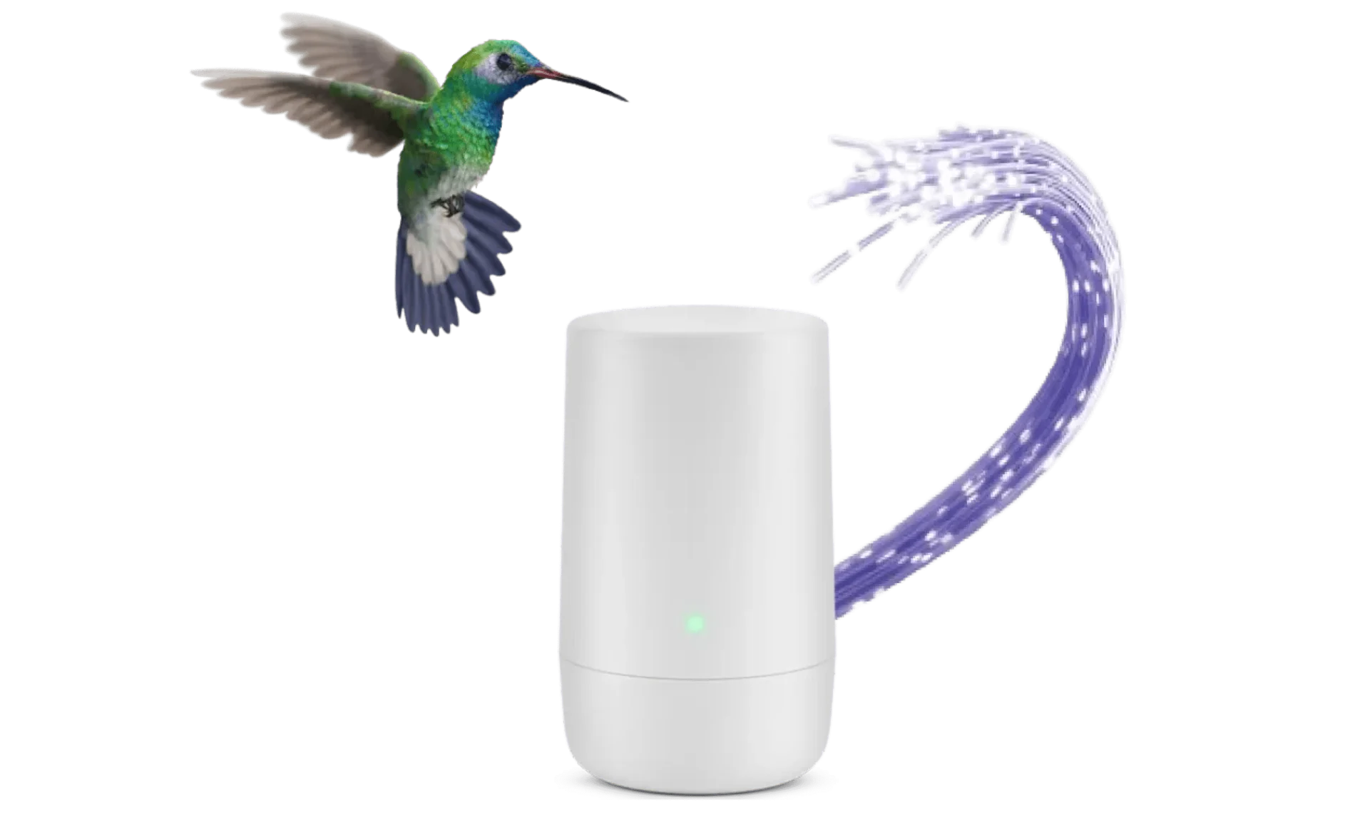 A hummingbird flying toward a TELUS modem.